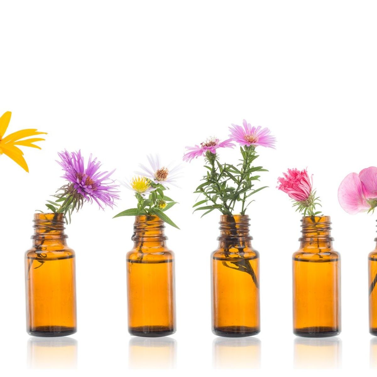 Los Flores de Bach y sus Resultados